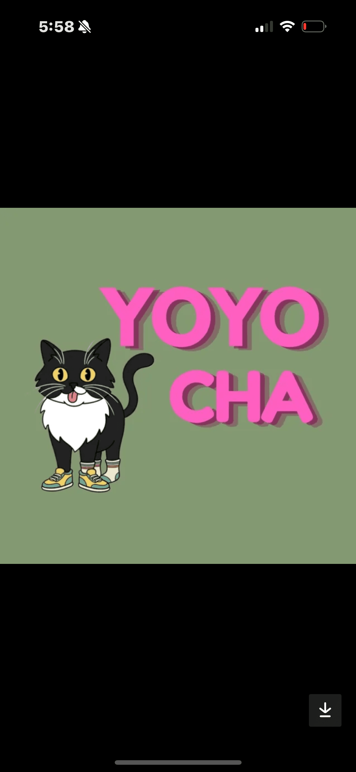 Yoyocha